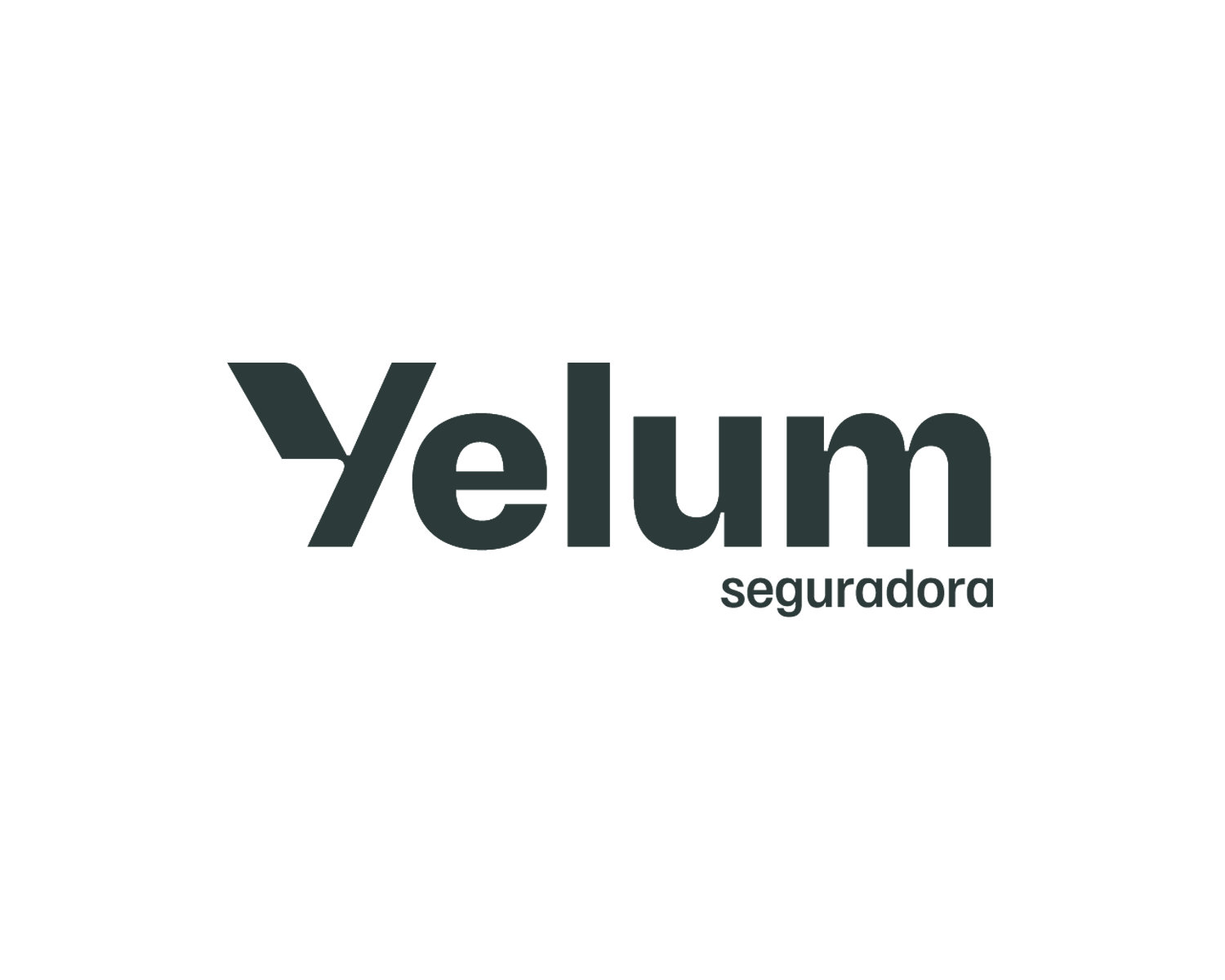 Yelum Seguros - Seguradora parceira